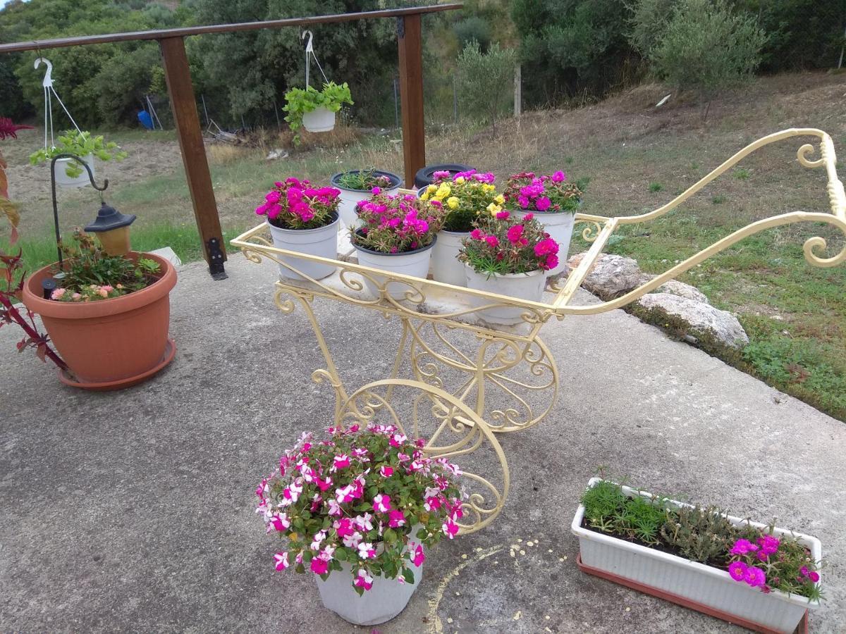 Country House At Alexandroupoli Mákri Kültér fotó